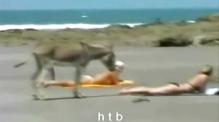 Piger brænder mom son porno film for lesbiske spil.